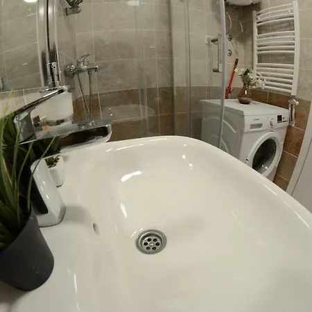 Dobraya Grey Novi Sad