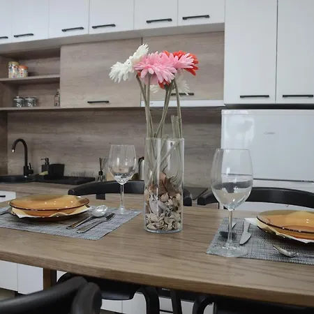 Dobraya Grey Novi Sad