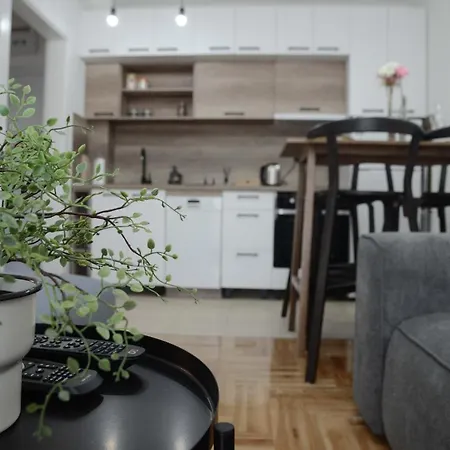 Dobraya Grey Apartment Novi Sad