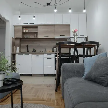 Dobraya Grey Apartment